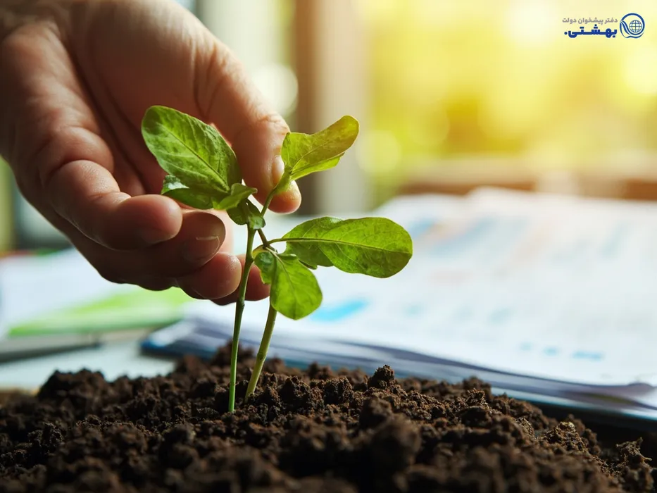 نهال در دست به عنوان نماد وام اشتغال و رشد کسب و کار